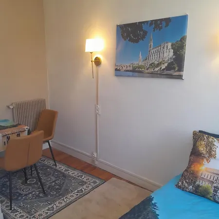 Vue De Reve Dans De Standing - Vous Faites Le Menage-very Good Prices But Have To Cle-an Th-e Flat Apartment Lourdes