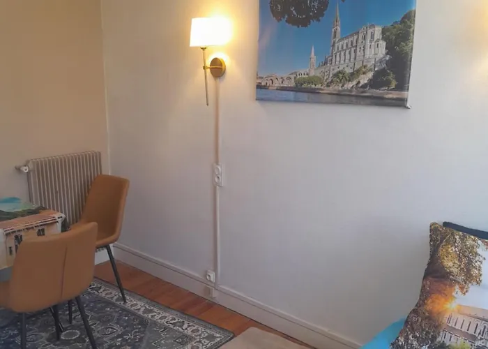 Vue De Reve Dans De Standing - Vous Faites Le Menage-very Good Prices But Have To Cle-an Th-e Flat Апартаменты Лурд